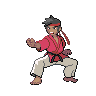 Pokestar Black Belt
