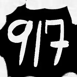 917.webp