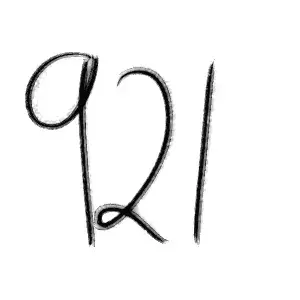 921.webp