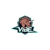 Viiibe