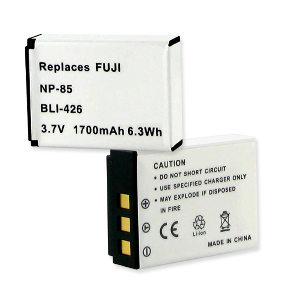 BLI-426.JPG